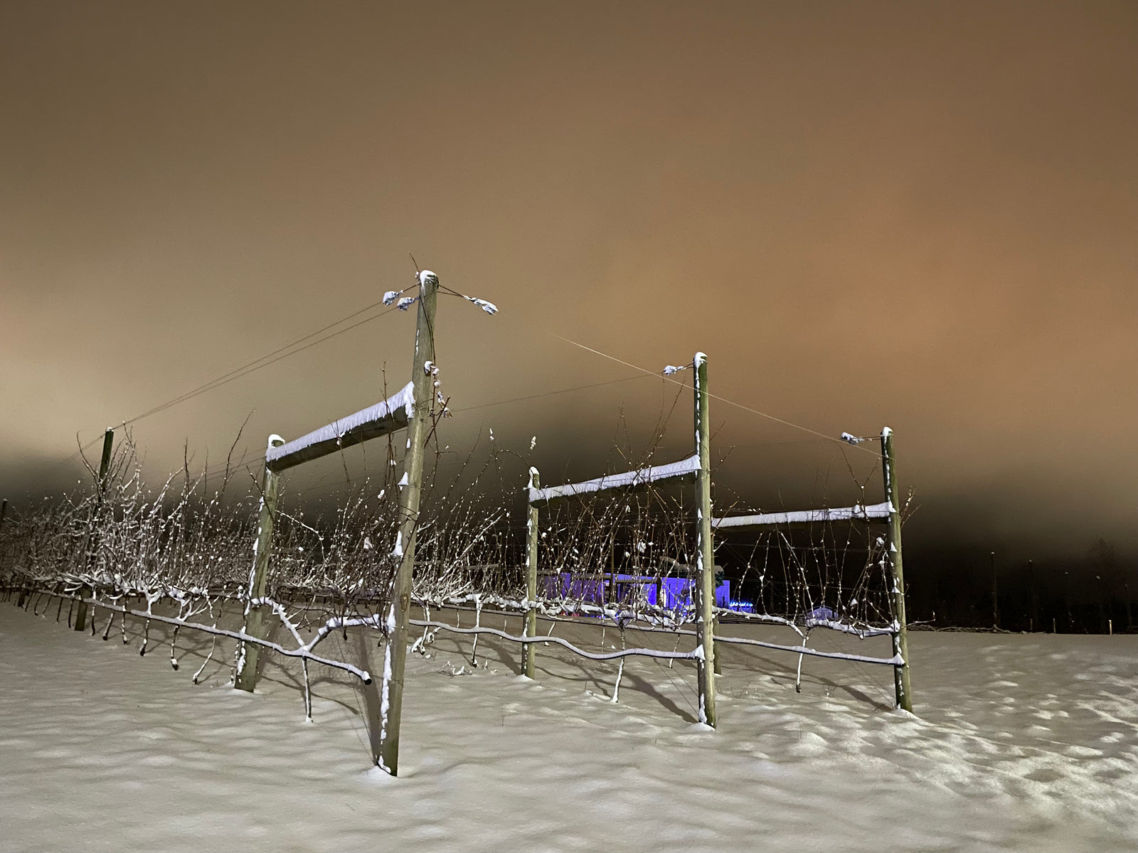 Winter Snow