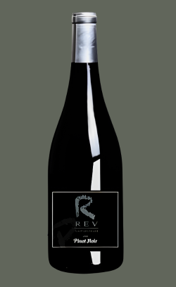 Pinot Noir 2023